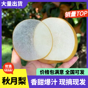 【安徽秋月梨】精品秋月梨晚秋梨金果梨口感好糖度高