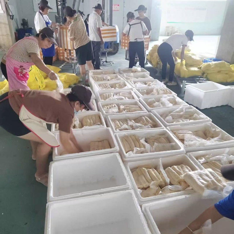 【实力供货】木薯精品鲜木薯基地直发量大从优欢迎咨询