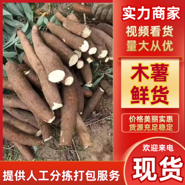 【实力供货】木薯精品鲜木薯基地直发量大从优欢迎咨询