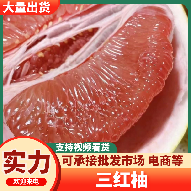 三红柚湖北宜昌柚子产地一手货源新鲜上市对接全国