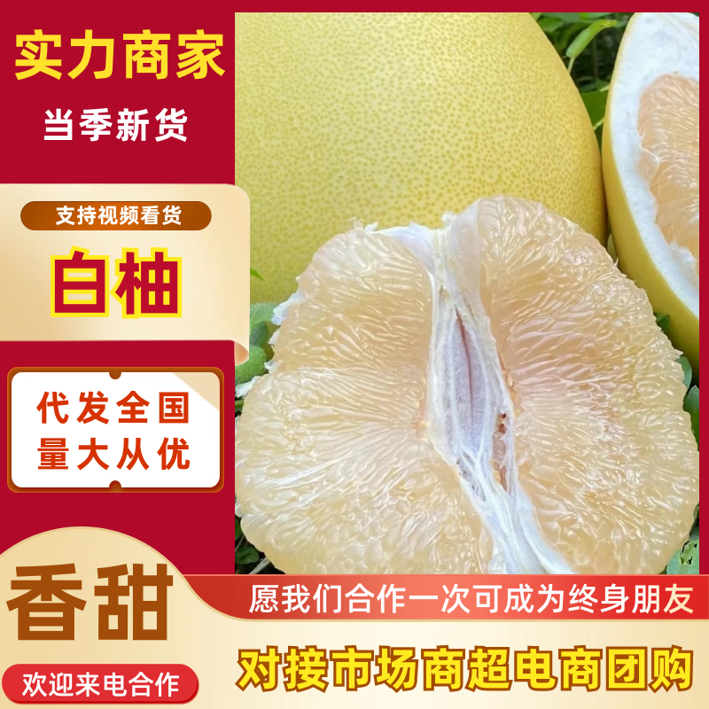 白柚柚子产地直发保质保量代发全国可实地考察