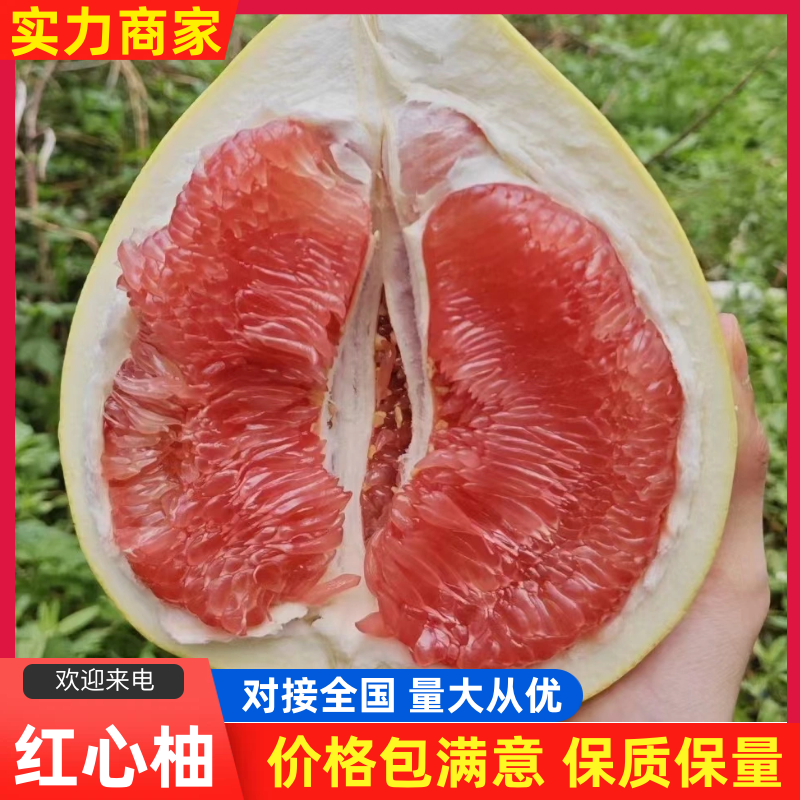 【精品】红心柚湖北柚子规格齐全对接全国电商市场批发