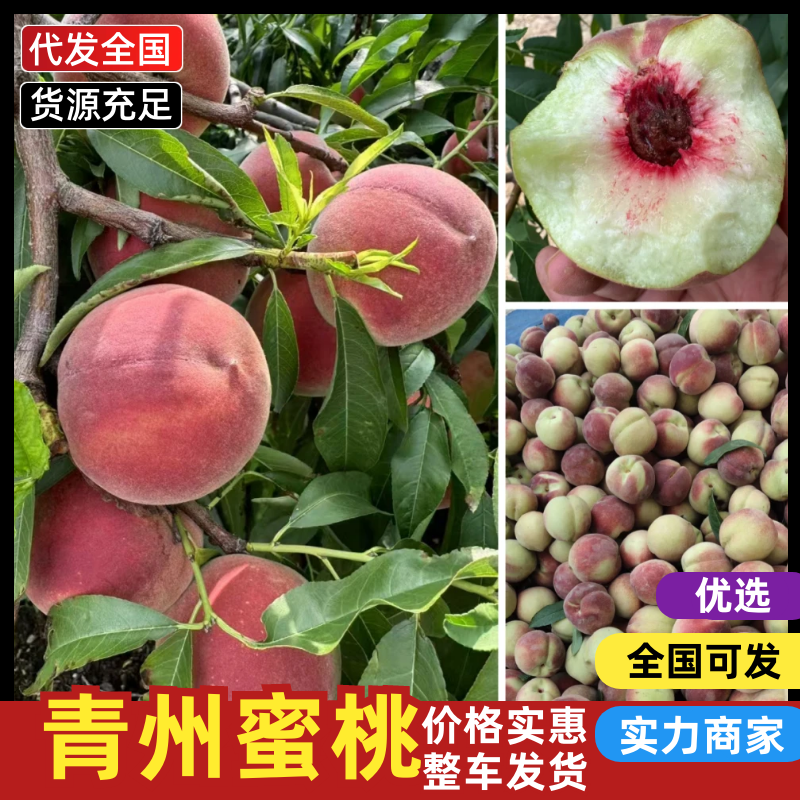 青州蜜金秋红蜜果映霜红桃形端正成口感脆甜水分足按需求分拣