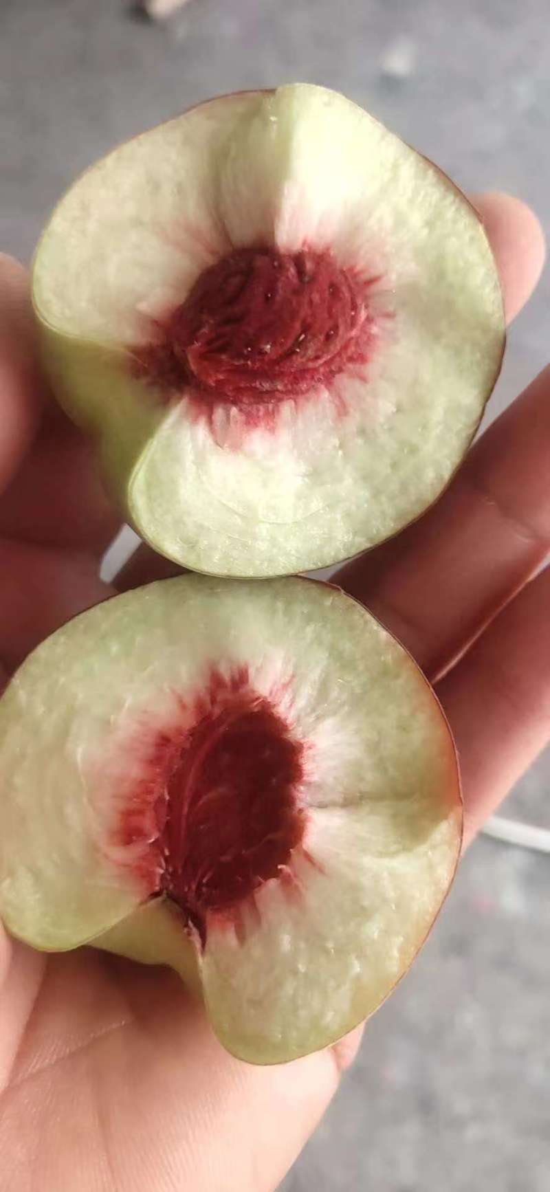 青州蜜金秋红蜜果映霜红桃形端正成口感脆甜水分足按需求分拣