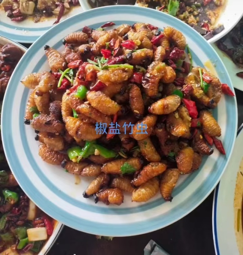 竹虫出售足斤足两对接全国运费自理欢迎买货