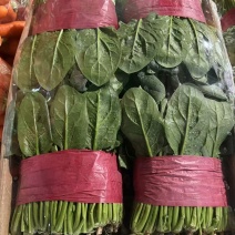 菠菜大叶菠菜小叶菠菜市场供货协助装车服务到位