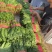 菠菜大叶菠菜小叶菠菜市场供货协助装车服务到位