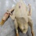【东北散养手工鹅条】白条鹅鹅肉基地直发全国发货