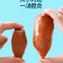 鱿鱼仔