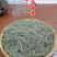 土木贼草接骨草中药材中草药原料批发节节草