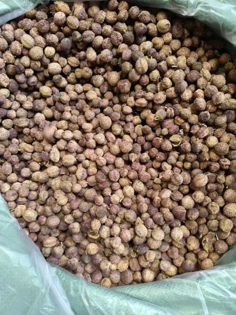 云南文山沙仁新鲜货。一手货源，品质保证，量大从优，欢迎选购
