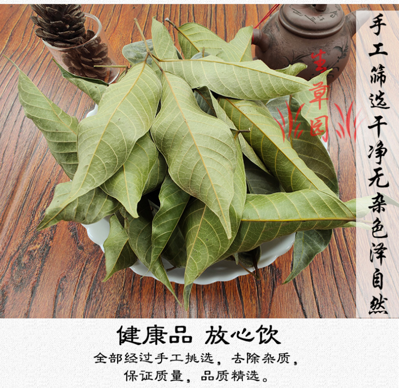 橄榄叶中药材中草药原料批发橄榄叶