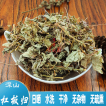 杠板归刺犁头刺白饭蛇倒退中药材中草药原料
