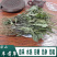 车前草平车前车轮菜中药材中草药原料批发