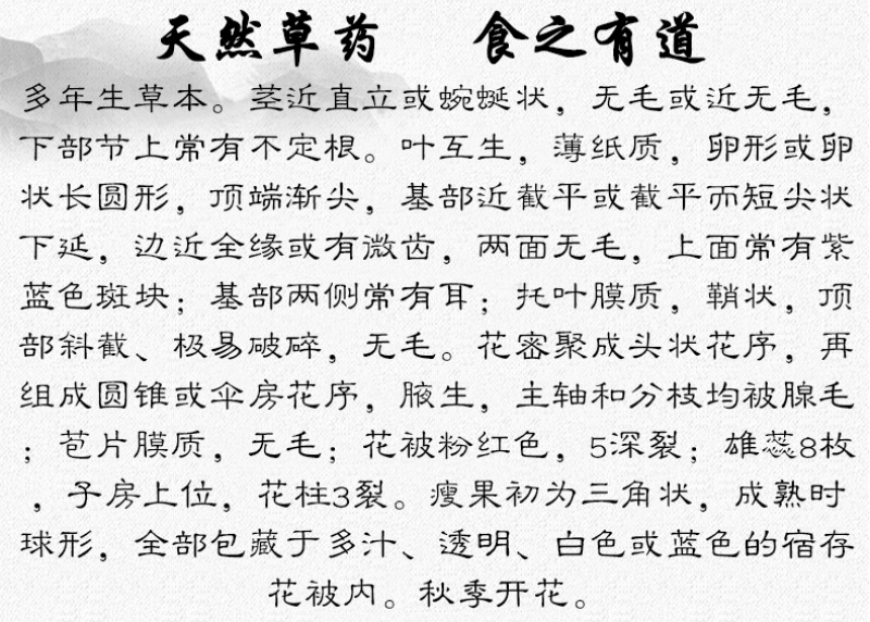 白饭藤俄美眼火炭藤中药材中草药原料批发火炭母