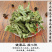 白饭藤俄美眼火炭藤中药材中草药原料批发火炭母
