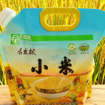 二级小米