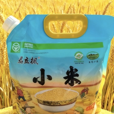 一级小米