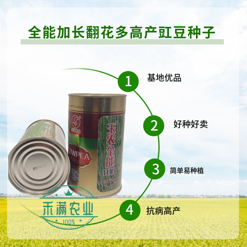 豆角种子加长型高产翻花多春秋两季豇豆种籽小叶豆角抗病优良