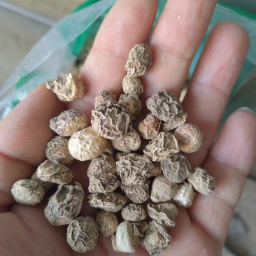 滴水珠