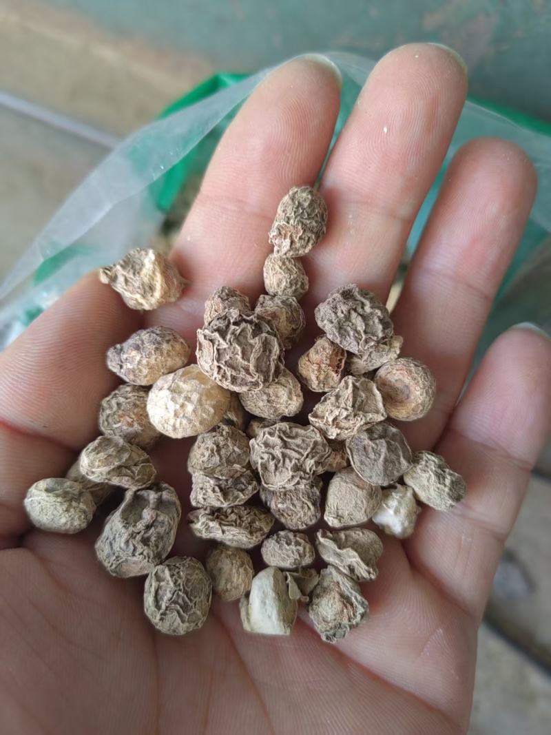滴水珠