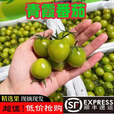 山东绿色圣女果清甜2号小番茄现摘现发顺丰超甜小西红柿爆汁