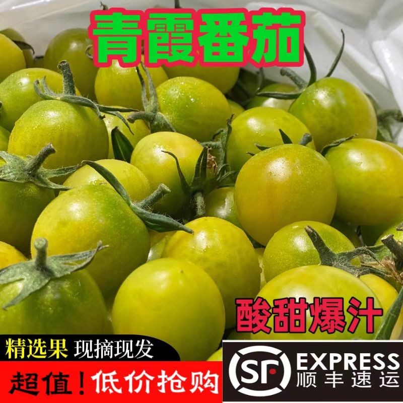 山东绿色圣女果清甜2号小番茄现摘现发顺丰超甜小西红柿爆汁