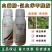 20%虫螨腈氯虫苯甲酰胺甜菜夜蛾钻心虫食心虫玉米螟杀虫剂