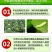 巧喜甲维盐甲氨基阿维菌素苯甲酸盐杀虫剂甘蓝小菜蛾抗性青虫