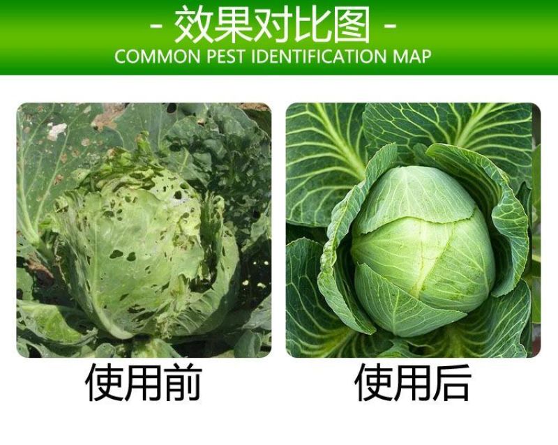 巧喜甲维盐甲氨基阿维菌素苯甲酸盐杀虫剂甘蓝小菜蛾抗性青虫