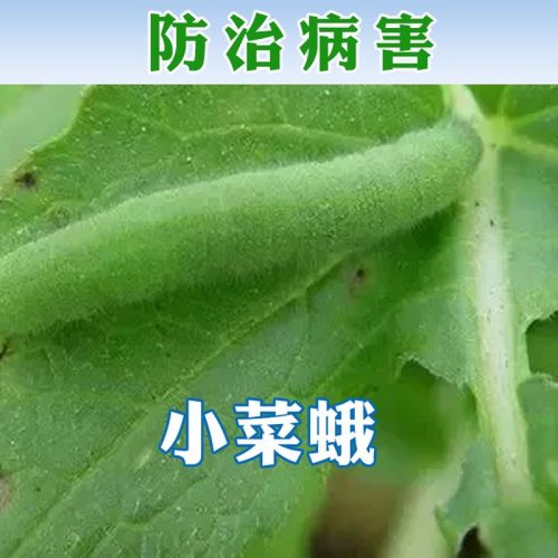 巧喜甲维盐甲氨基阿维菌素苯甲酸盐杀虫剂甘蓝小菜蛾抗性青虫