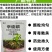 3%辛硫磷颗粒杀虫剂花生蛴螬地老虎金针虫地下害虫正品包邮
