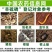 3%辛硫磷颗粒杀虫剂花生蛴螬地老虎金针虫地下害虫正品包邮
