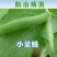 甲维盐3%甲氨基阿维菌素苯甲酸盐青虫小菜蛾杀虫剂农用正