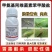 甲维盐3%甲氨基阿维菌素苯甲酸盐青虫小菜蛾杀虫剂农用正