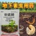 3%辛硫磷杀虫剂地下害虫专用花生蛴螬金针虫蝼蛄地老虎
