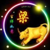 梁宇的一亩田店铺