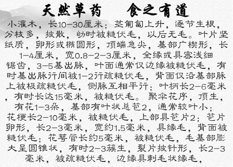 山地菍铺地锦中药材中草药原料批发地稔草