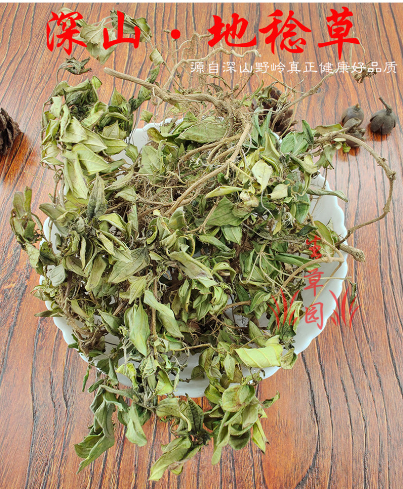 山地菍铺地锦中药材中草药原料批发地稔草