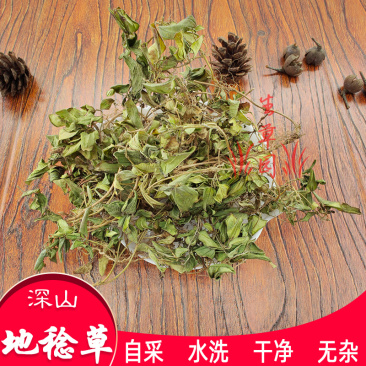 山地菍铺地锦中药材中草药原料批发地稔草