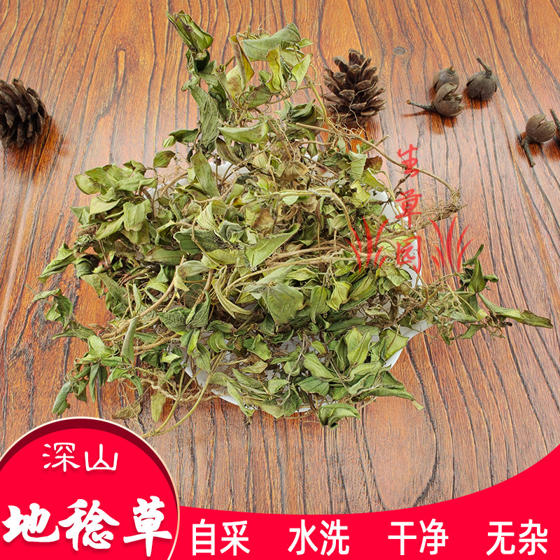 山地菍铺地锦中药材中草药原料批发地稔草
