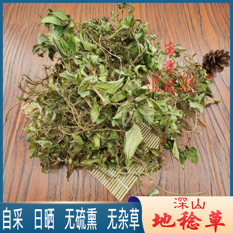 山地菍铺地锦中药材中草药原料批发地稔草
