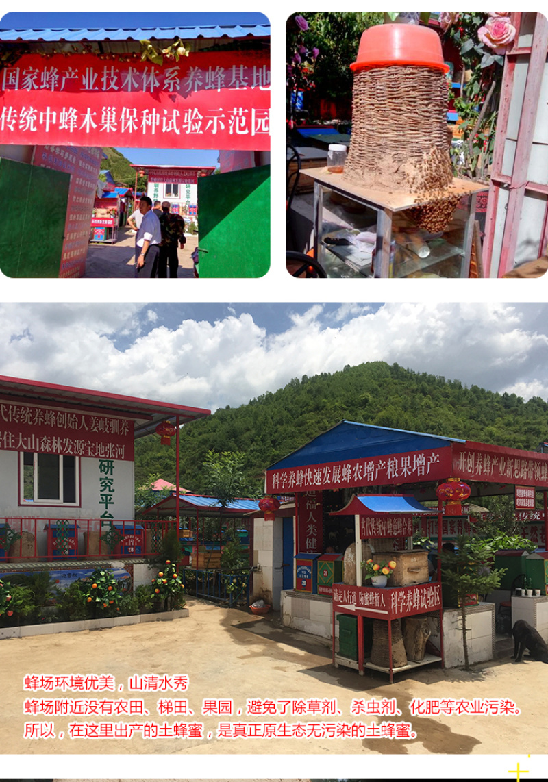 天水纯正深山土蜂蜜天然自产自销0添加百寿康旗舰店