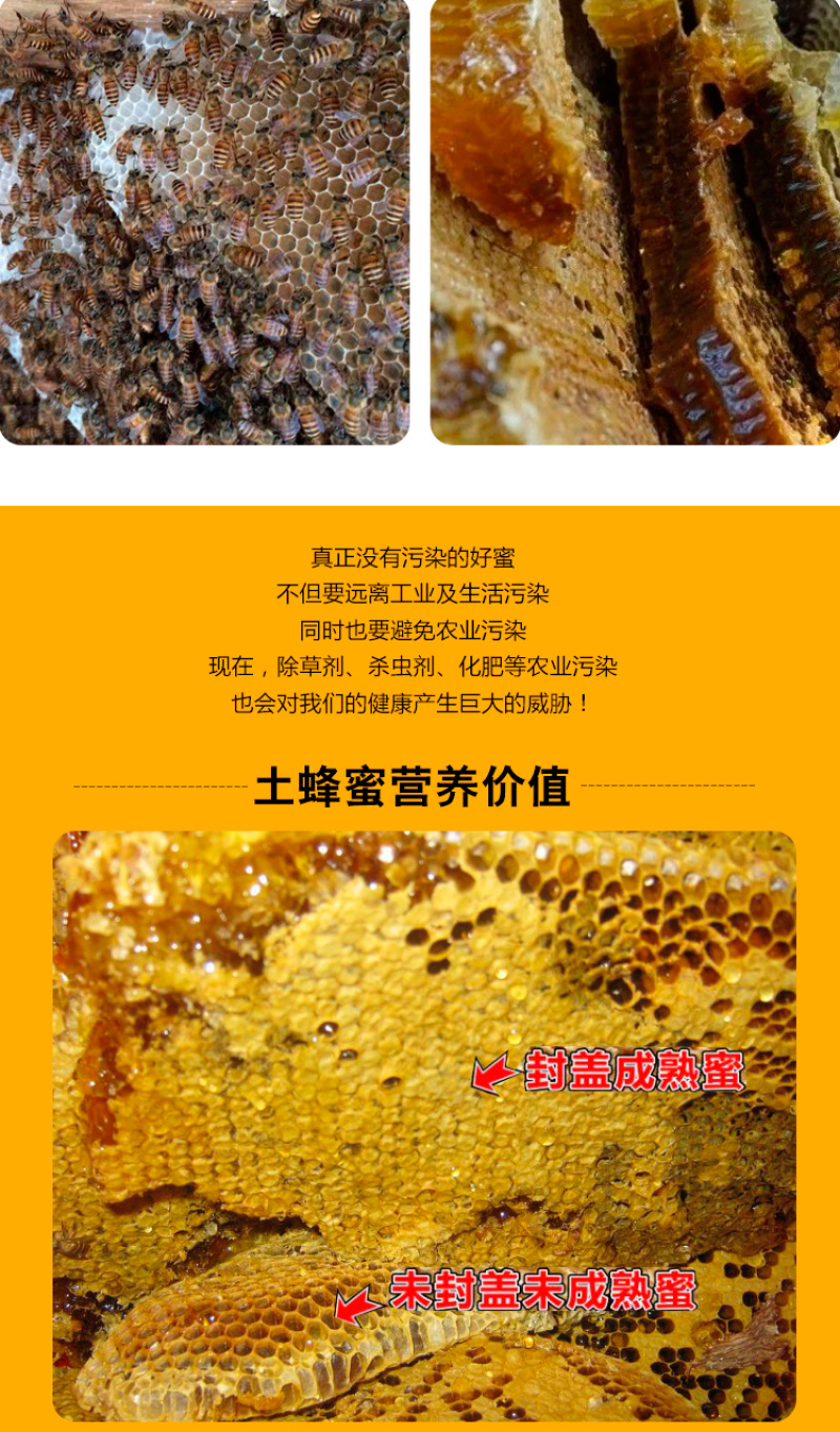 天水纯正深山土蜂蜜天然自产自销0添加百寿康旗舰店