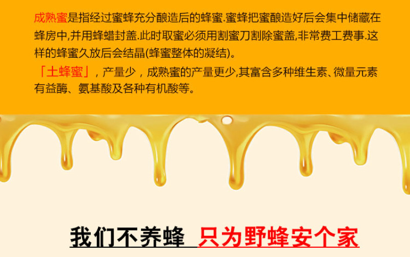 天水纯正深山土蜂蜜天然自产自销0添加百寿康旗舰店