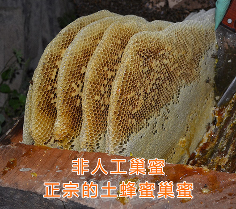 天水纯正深山土蜂蜜天然自产自销0添加百寿康旗舰店