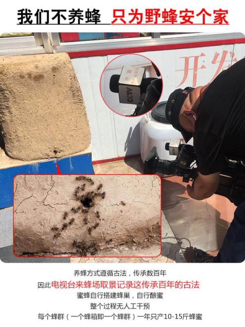 天水纯正深山土蜂蜜天然自产自销0添加百寿康旗舰店