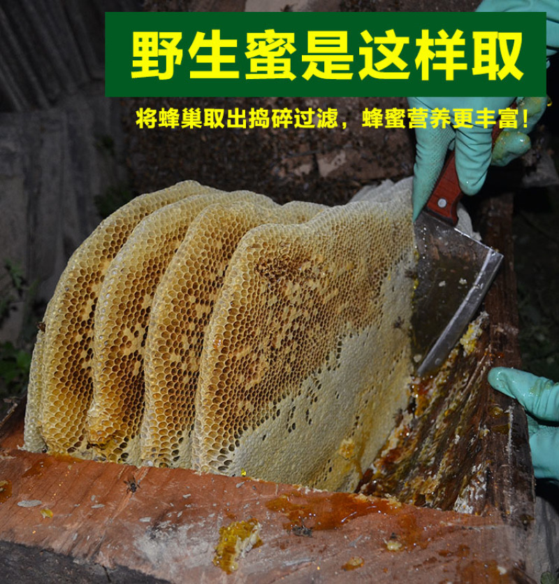 天水纯正深山野生蜂蜜天然自产自销0添加百寿康旗舰店