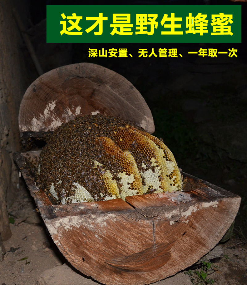 天水纯正深山野生蜂蜜天然自产自销0添加百寿康旗舰店