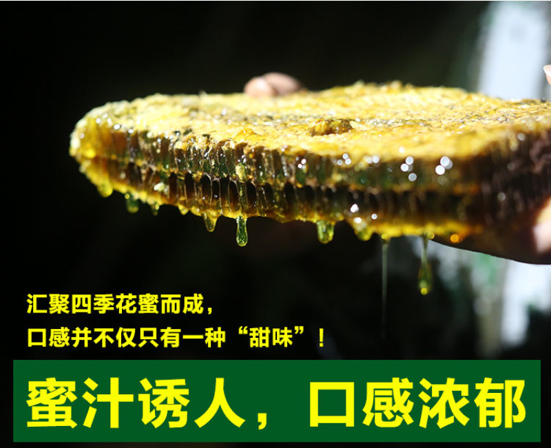 天水纯正深山野生蜂蜜天然自产自销0添加百寿康旗舰店